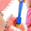 Oral Health Promotion - Thumbnail