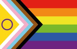 The Progress Pride flag.