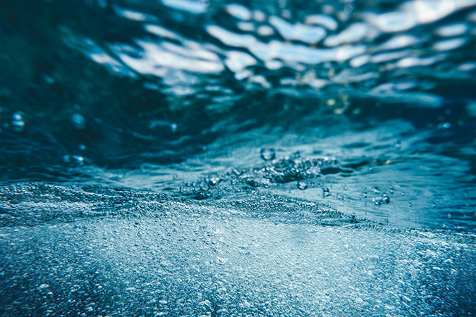 image of source water from a lake or pond