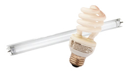 Fluorescent lights, CFL bulbs (8 maxiumum per visit)